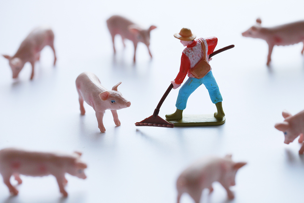 养猪改变命运，正邦，一个猪企扩张的样本