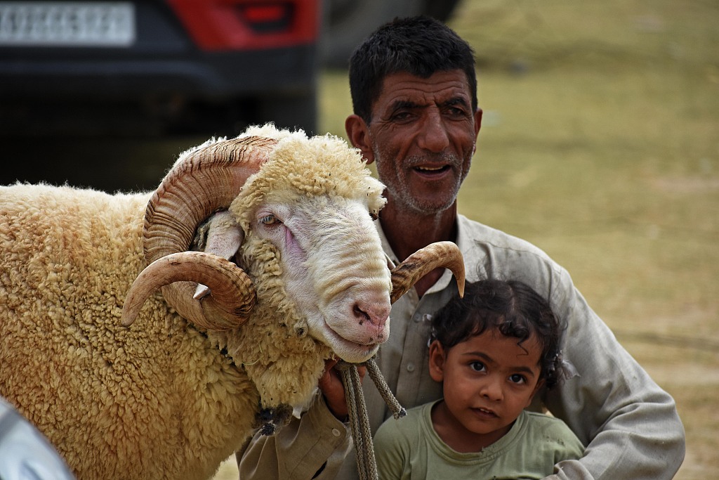 羊了个羊，火不过三天