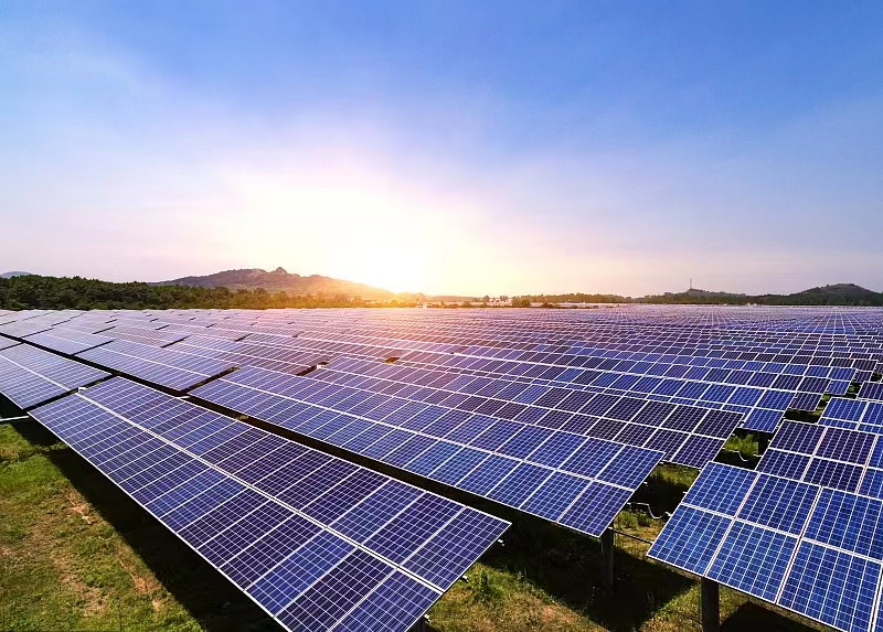 图片来源：视觉中国