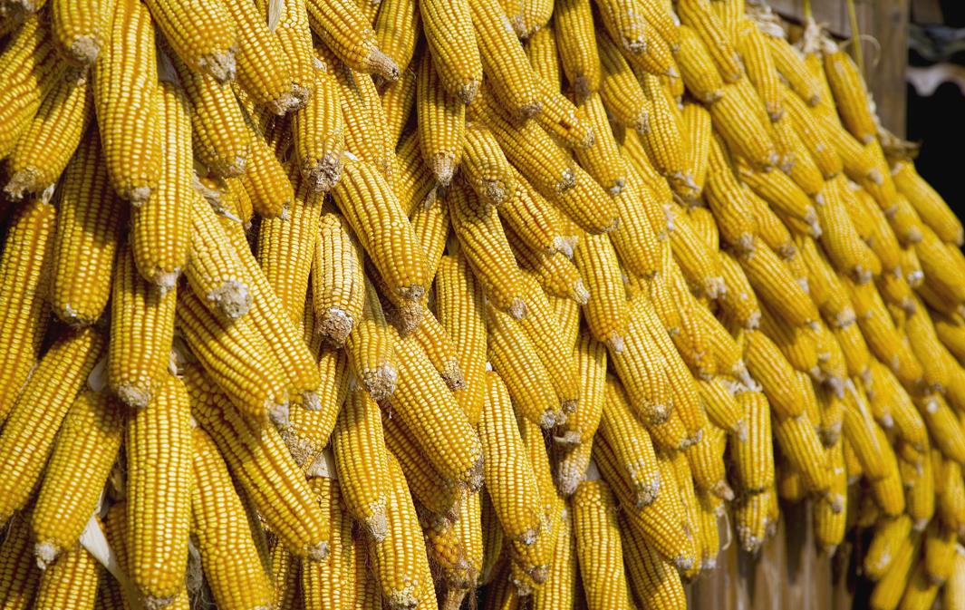 图片来源@视觉中国