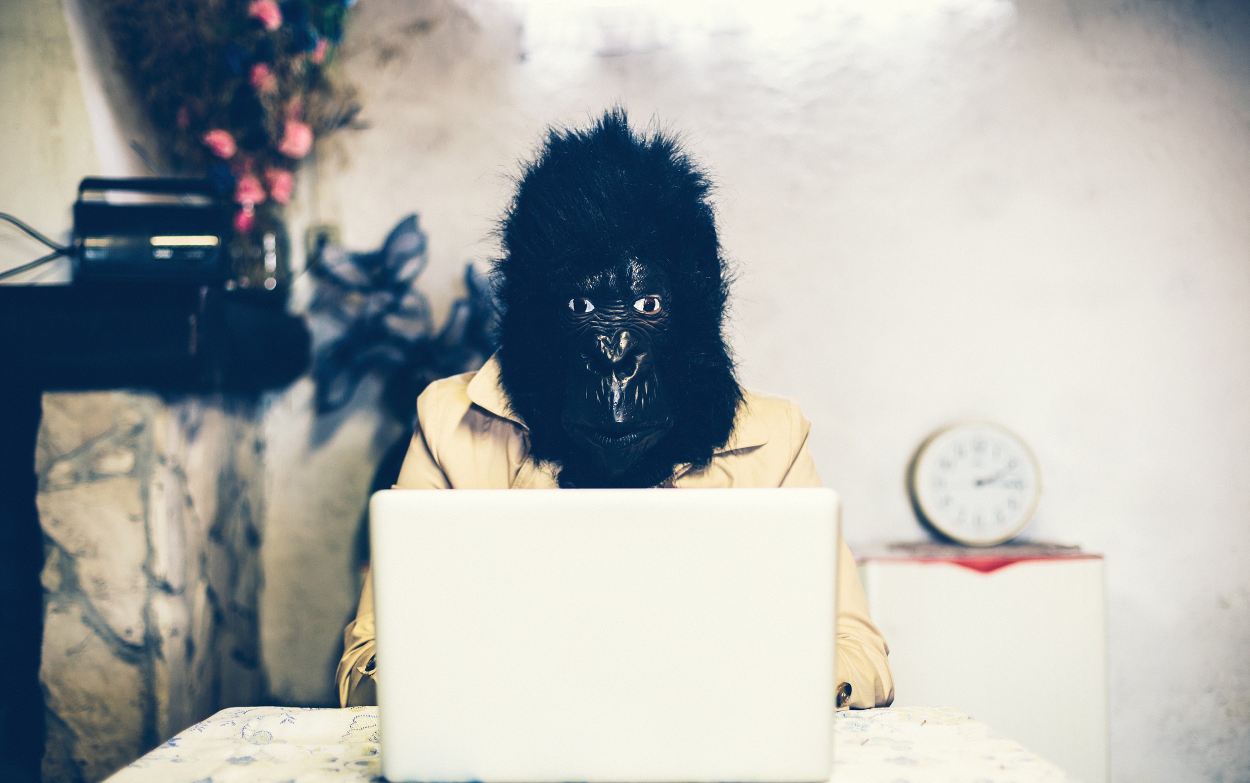 图片来源@视觉中国