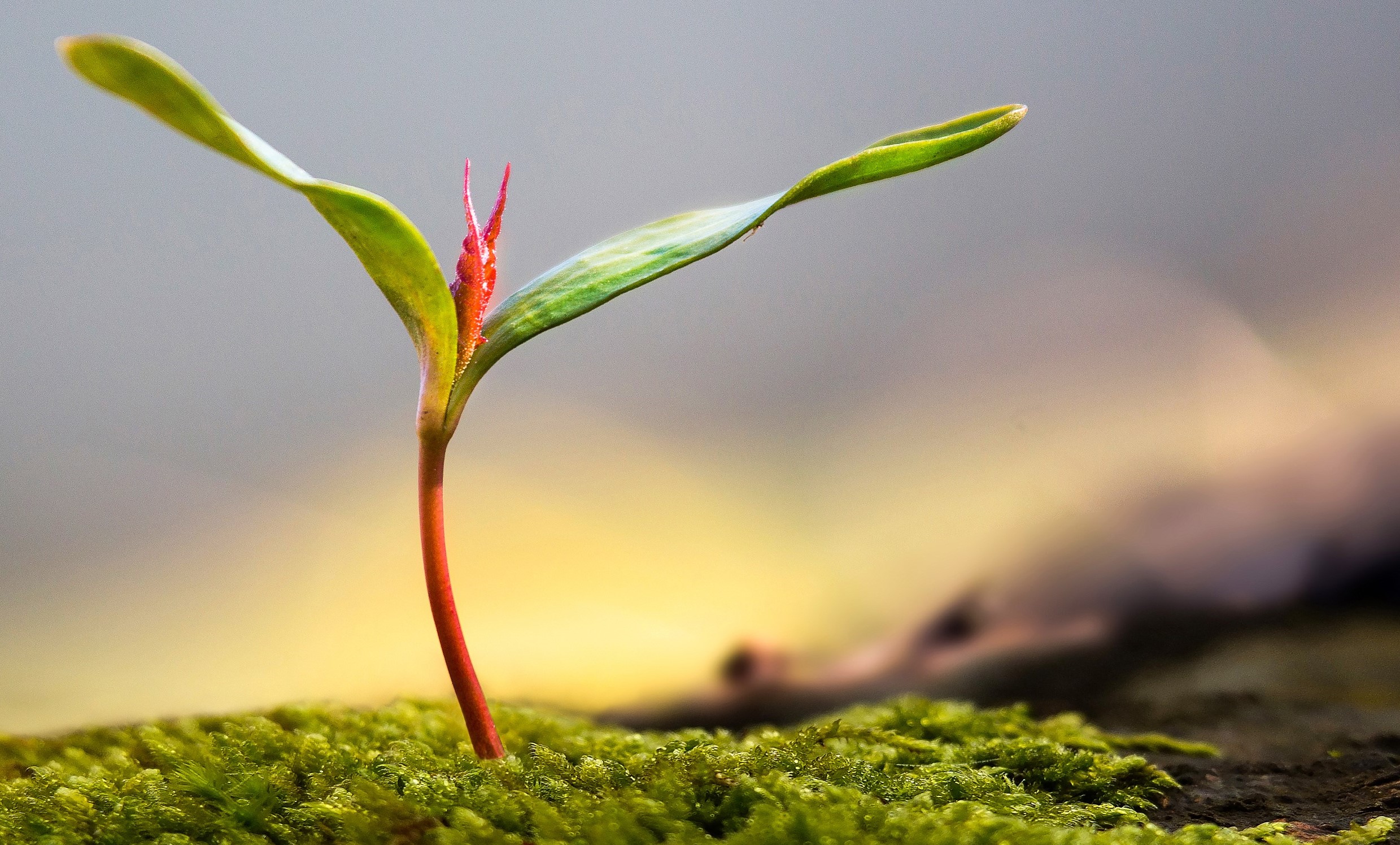 图片来源：视觉中国