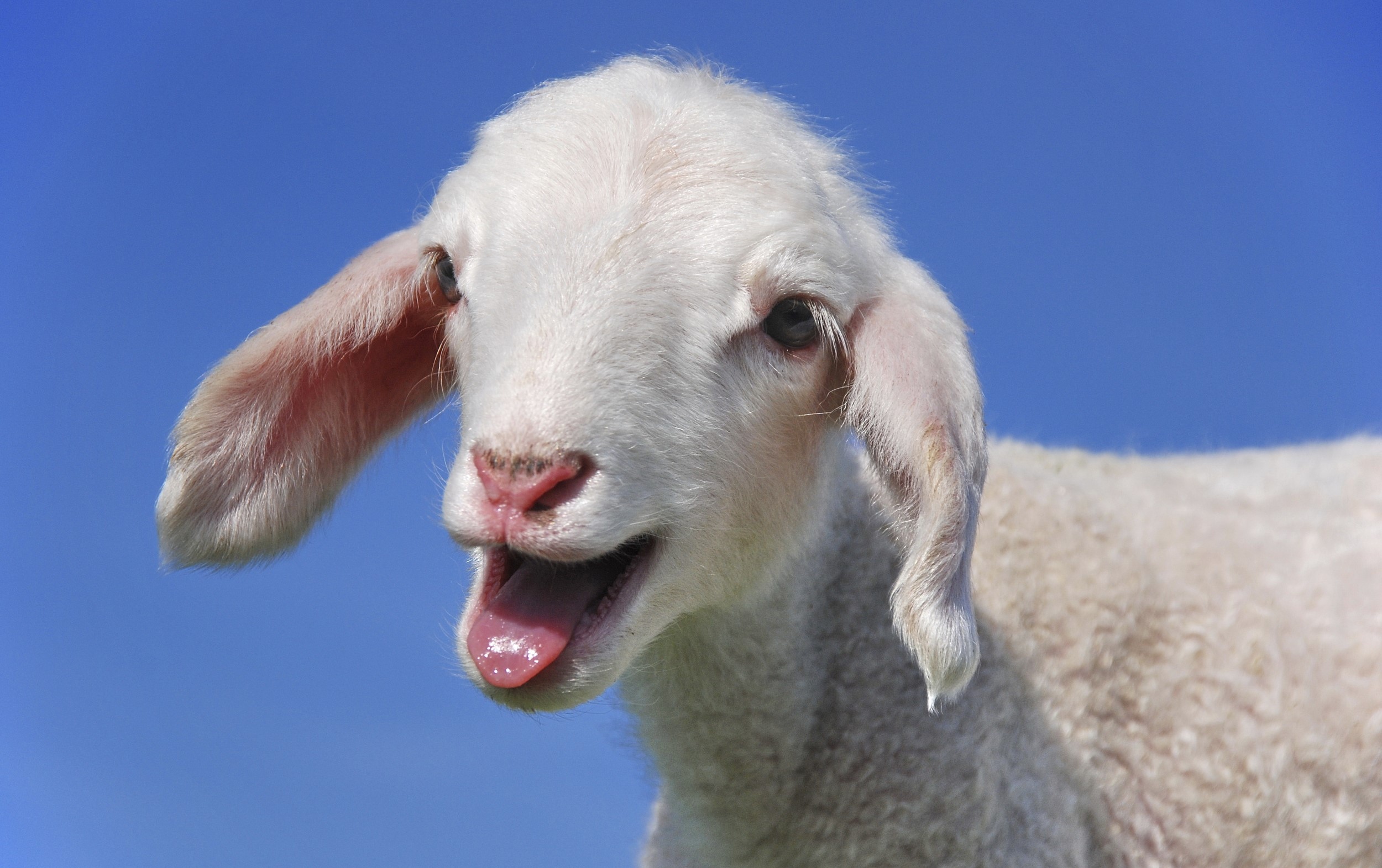 图片来源@视觉中国