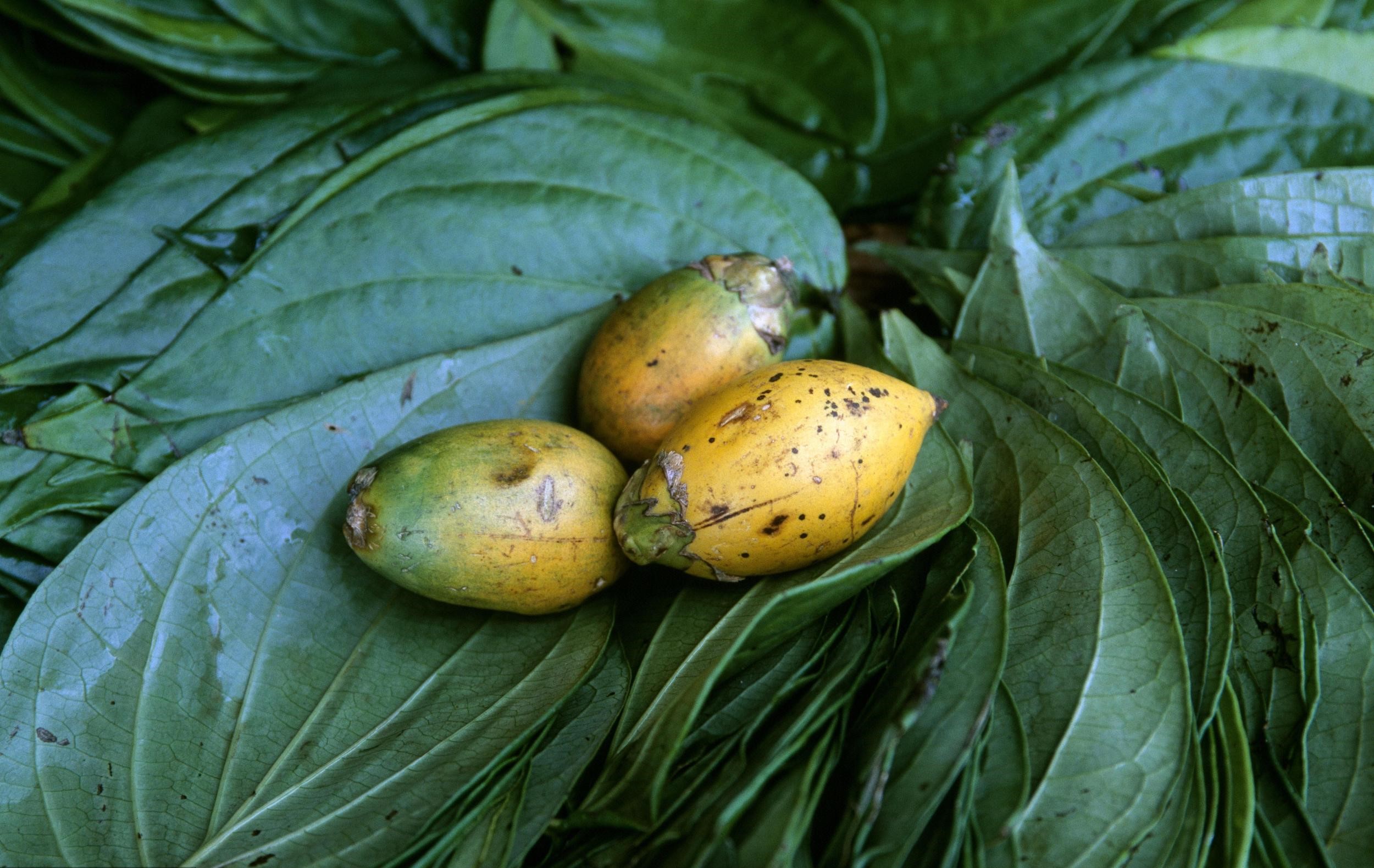 图片来源@视觉中国