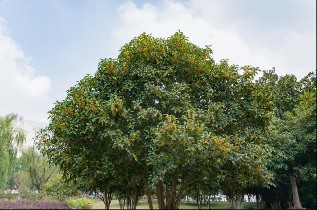 图片来源@视觉中国