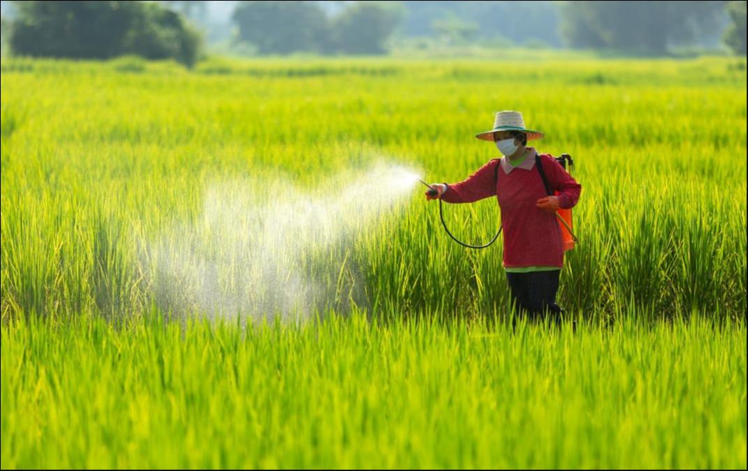 农药企业排队IPO，11家企业拟募资89亿元，行业春天来了吗？