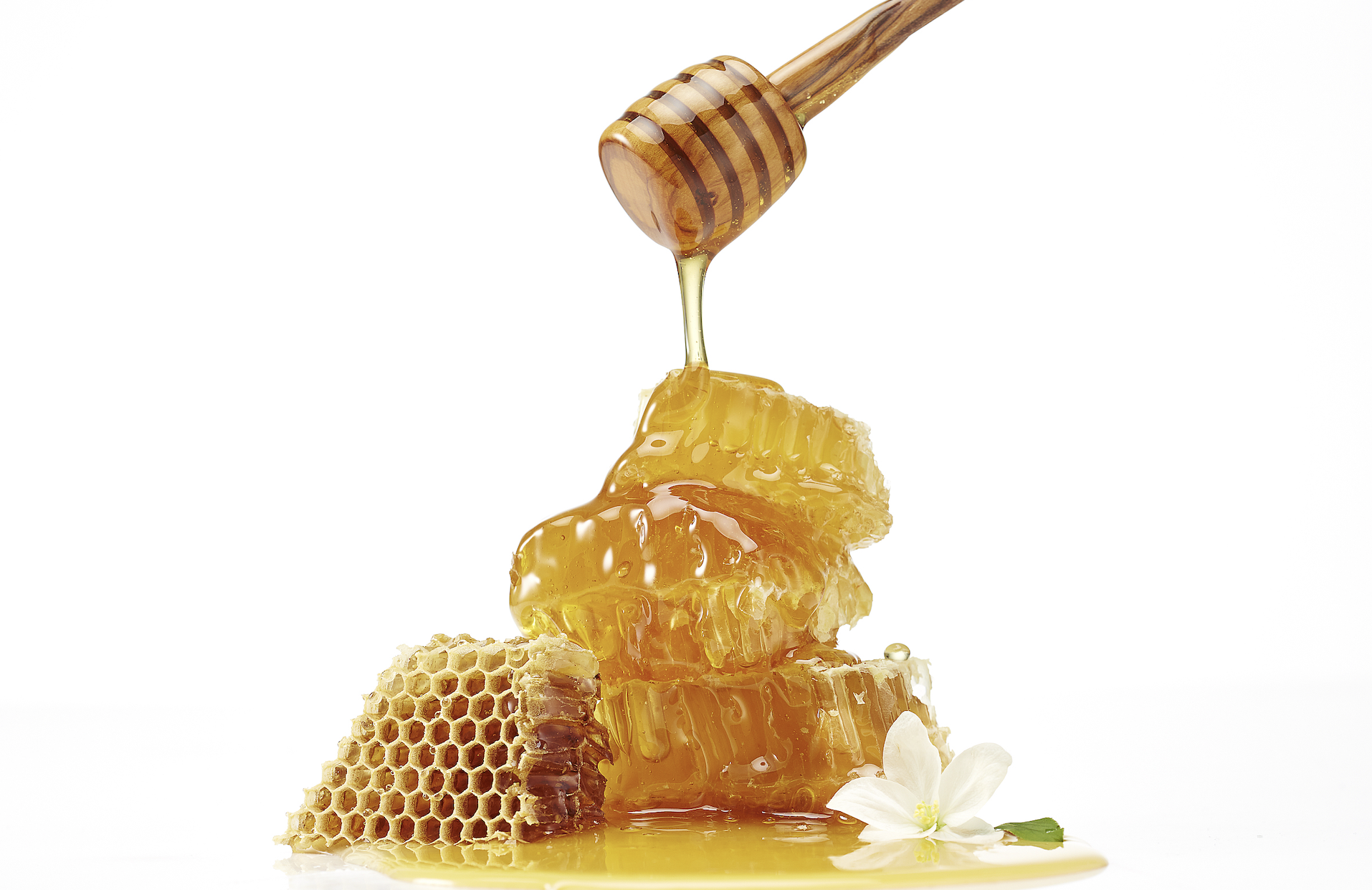 鱼脑手术、AI养虾、机器蜂巢，这才是真正的科技狠活