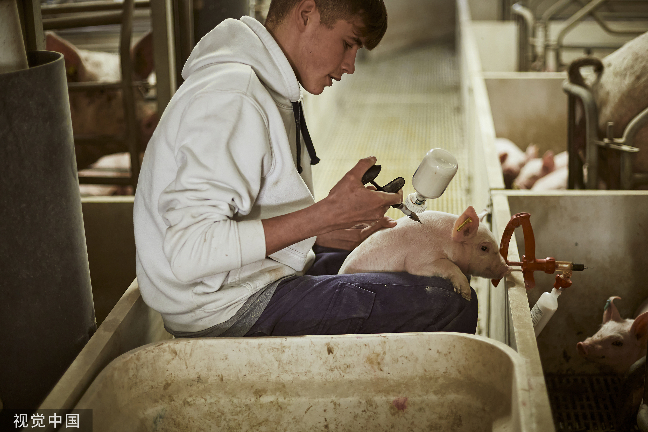 新一轮周期降临，中牧股份跟得上吗？ | 科股投研