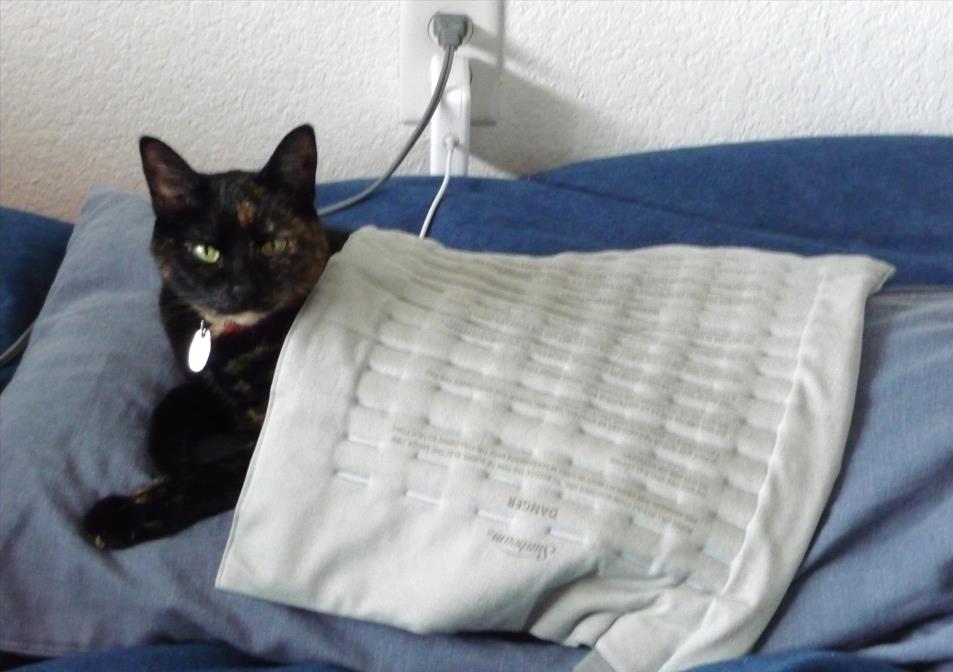 图片来源@视觉中国