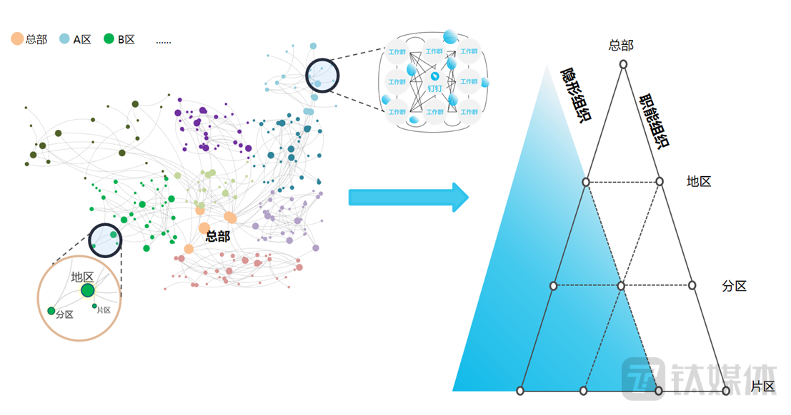 解这些复杂系统背后的通用组织逻辑，把碎片化、分散的隐形组织显现出来