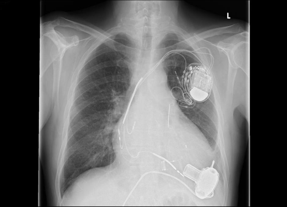 图片来源@视觉中国