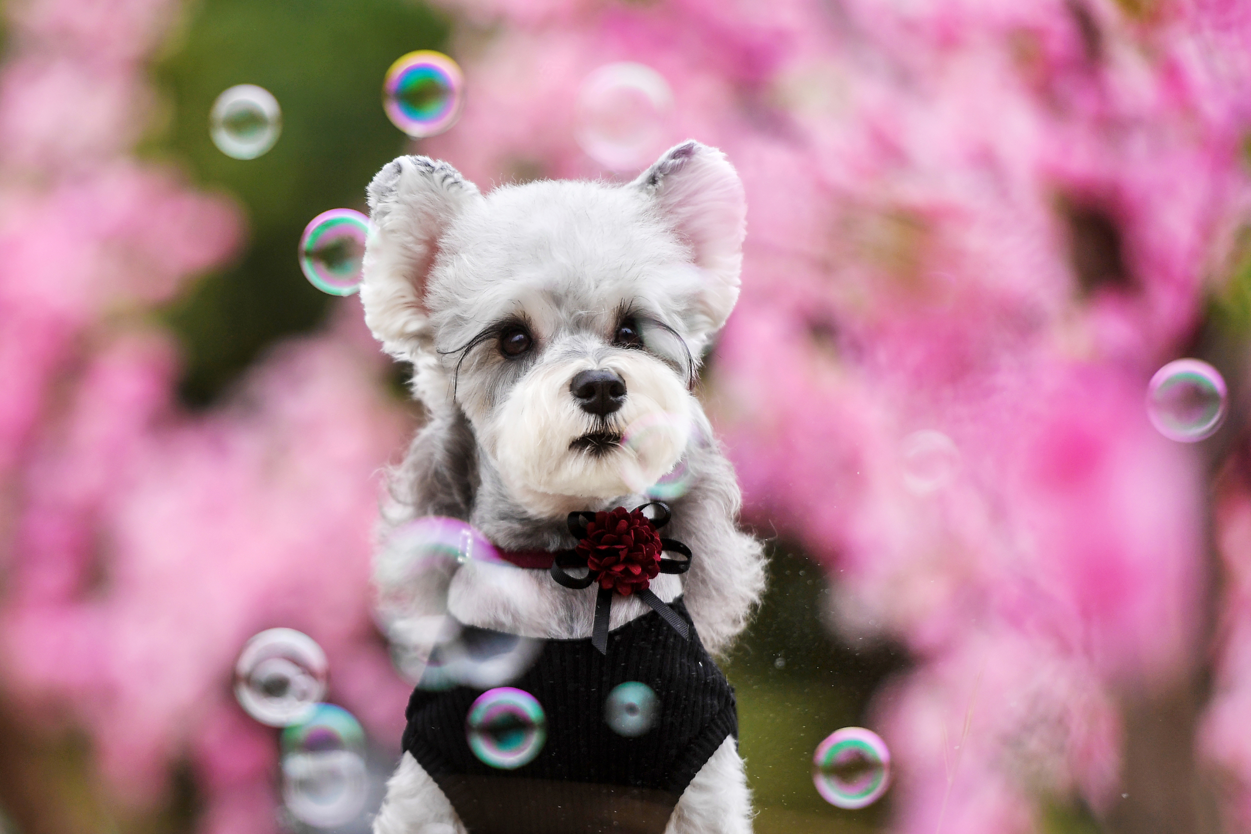 图片来源@视觉中国