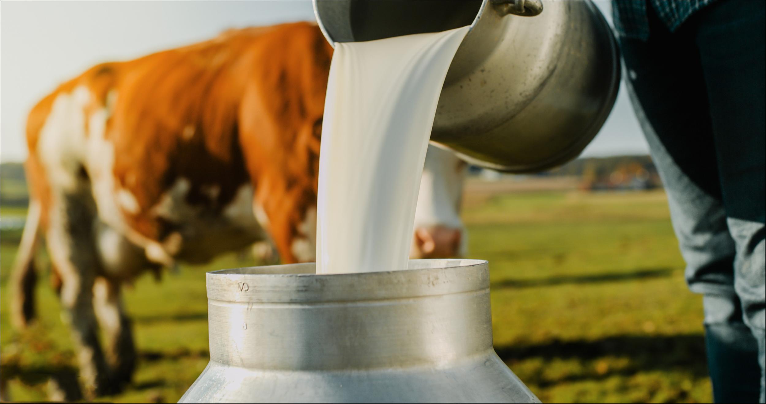 图片来源：视觉中国