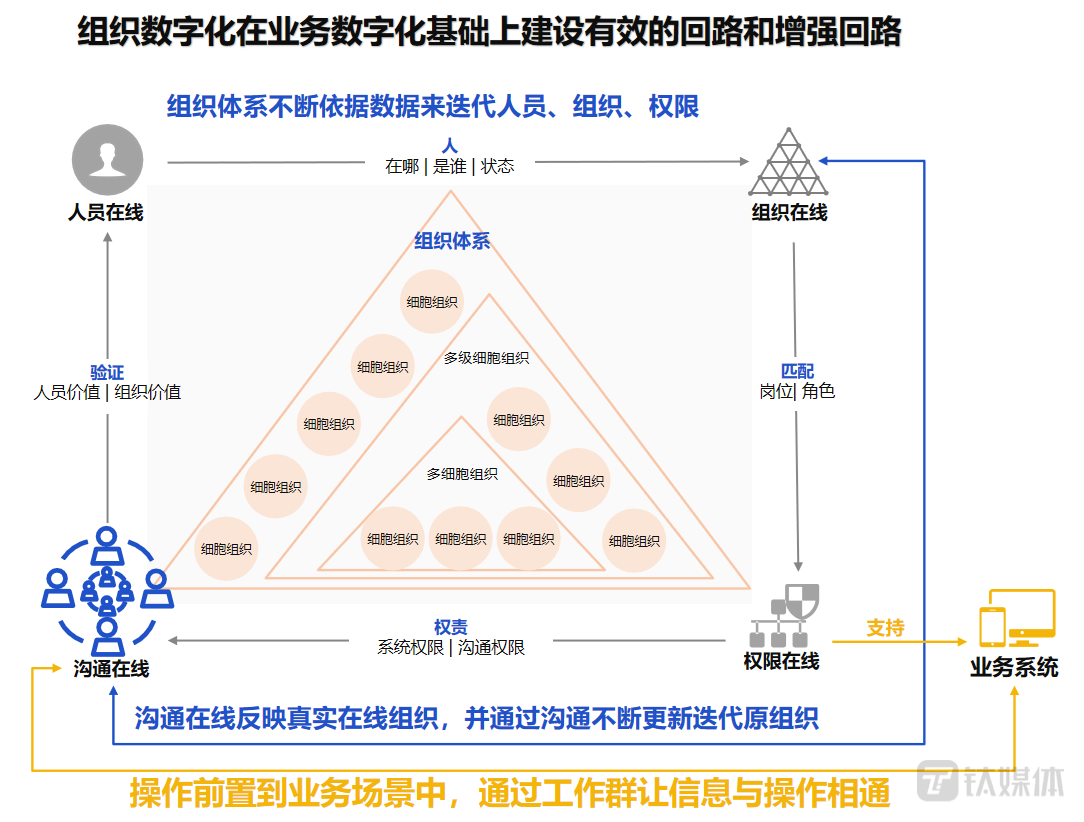 组织数字化和业务数字化