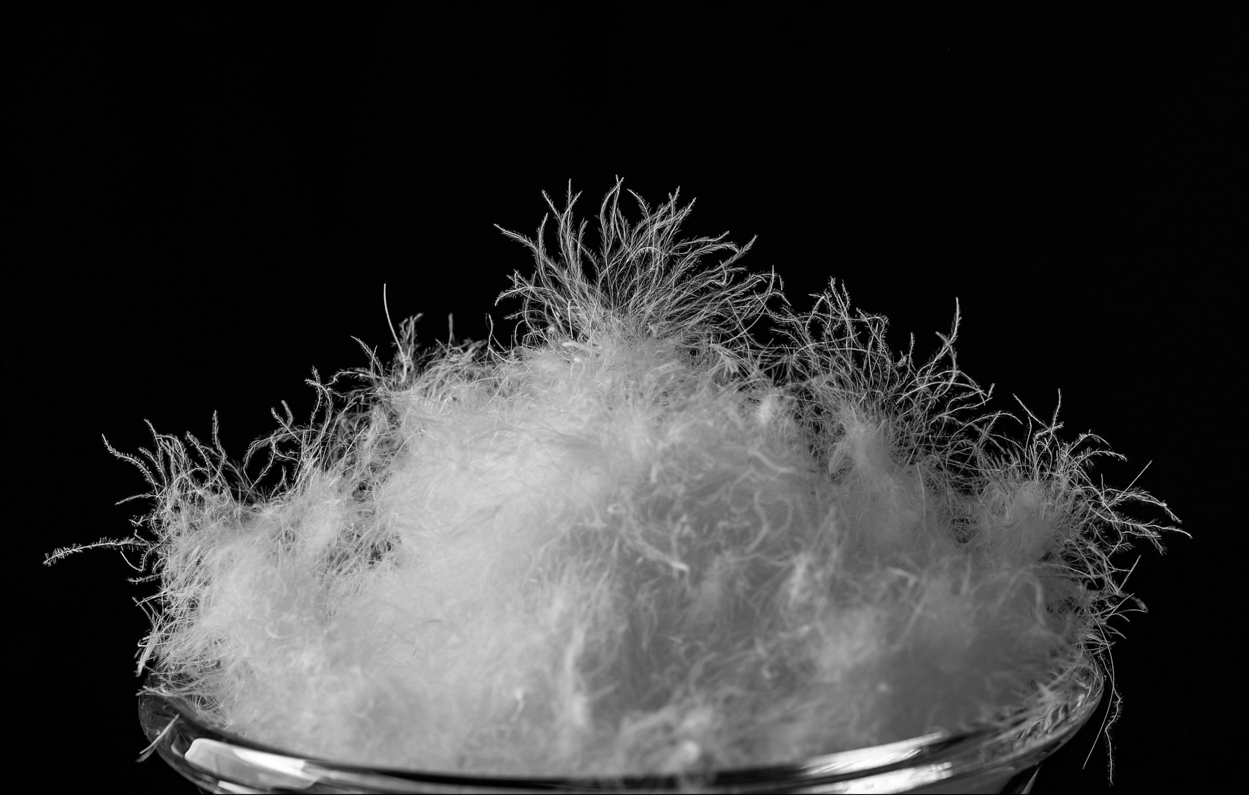 图片来源@视觉中国