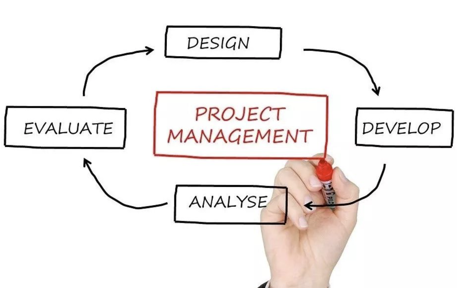 你的双十一，不该为“伪需求”买单