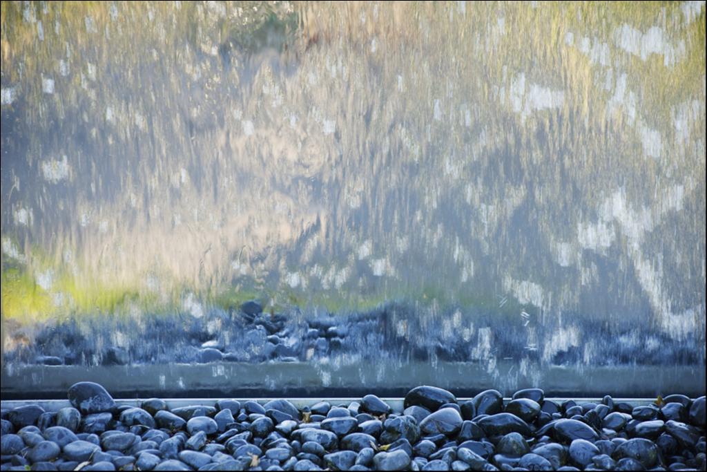 猫猫狗狗失宠了？这届年轻人竟然养起了「石头」