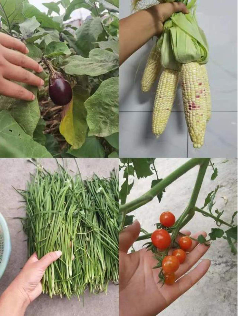 Chinese Youth Returning to Home Village in a New Wave