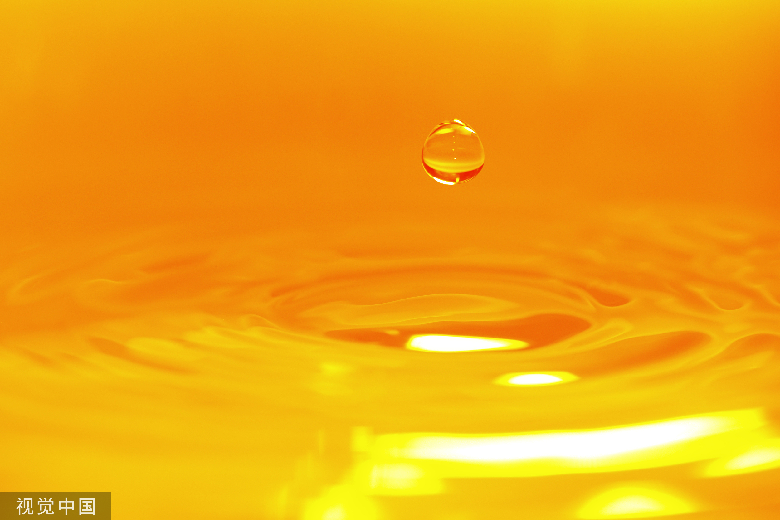 前三季度增收不增利，毛利率降至5.89%，金龙鱼加码预制菜能讲出新故事？| 看财报