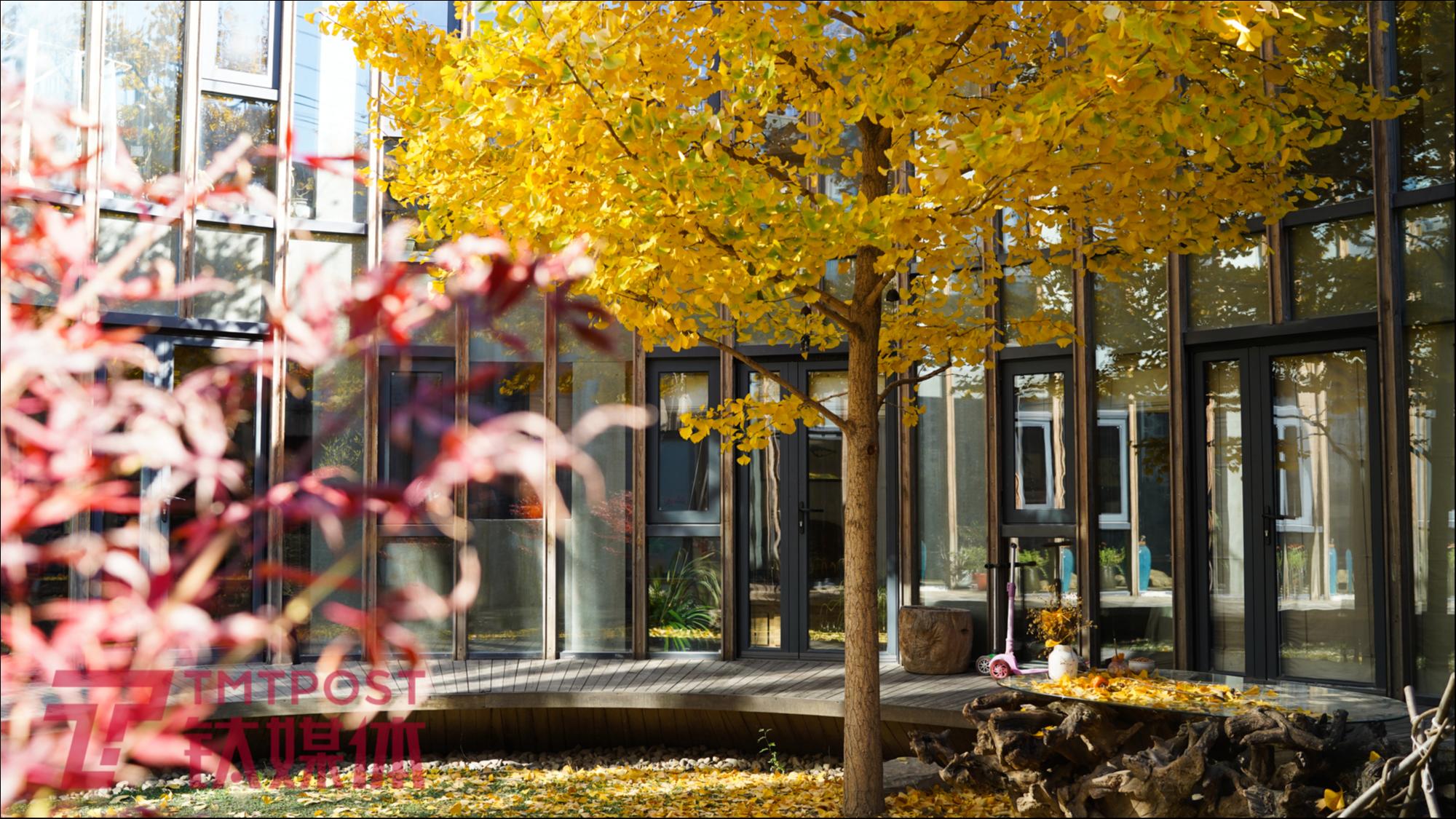 任泉灏家中一角。