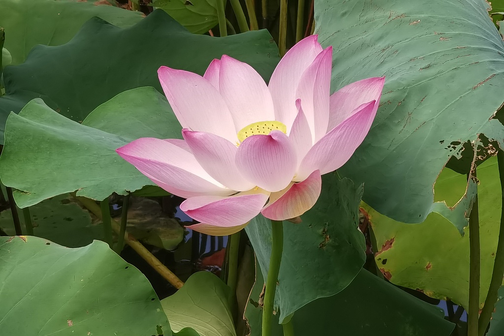 图片来源@视觉中国