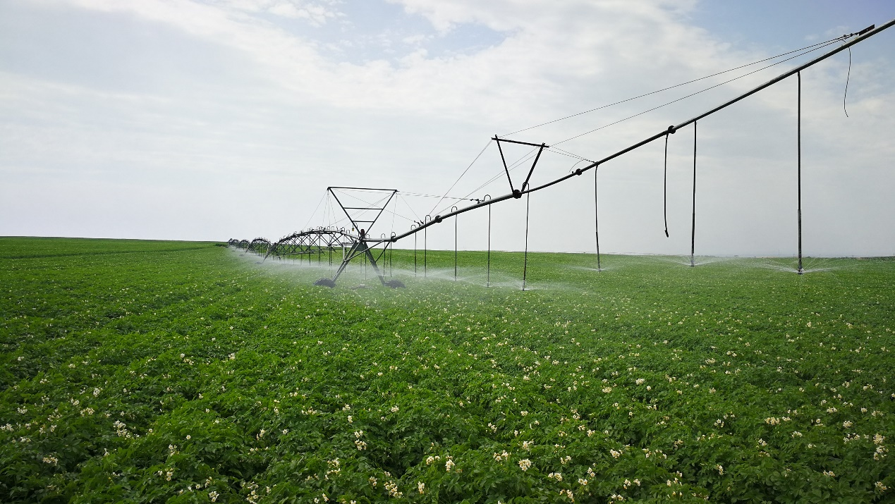 图为好丽友本土农场