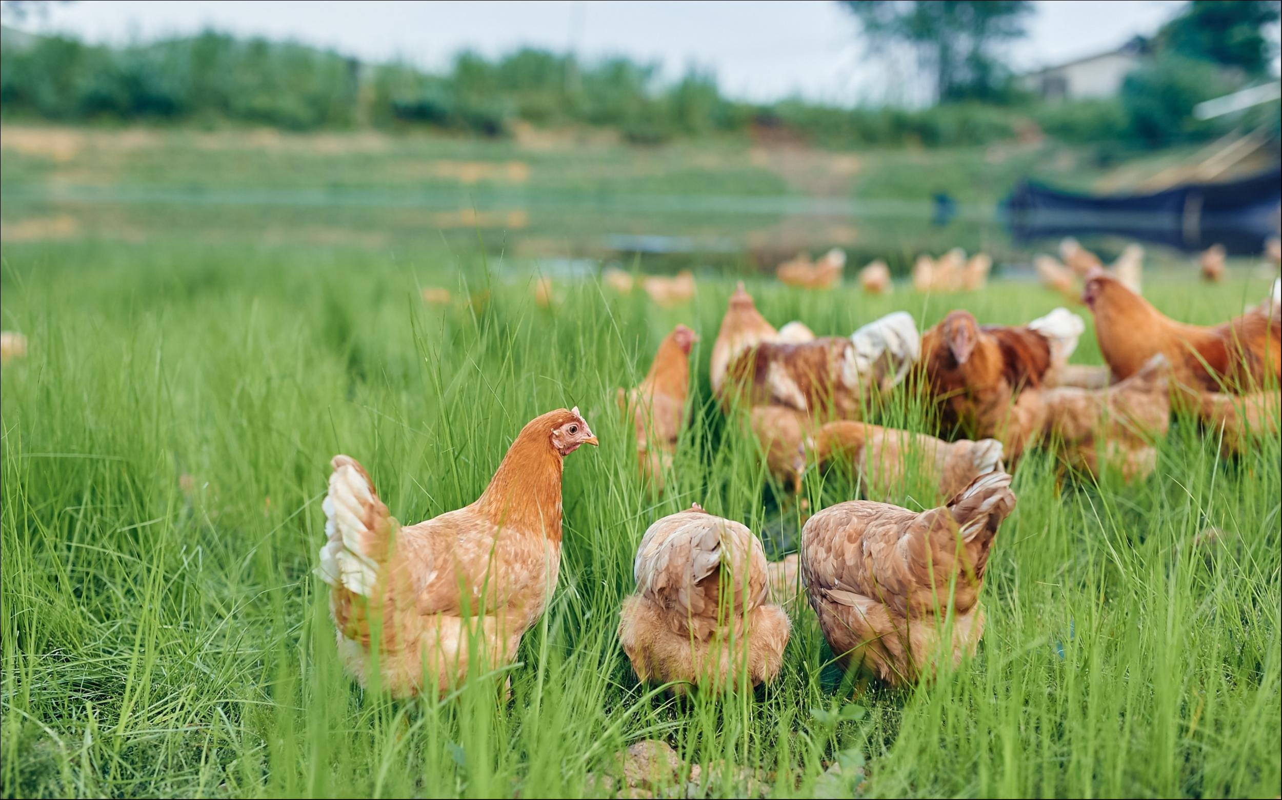 图片来源@视觉中国