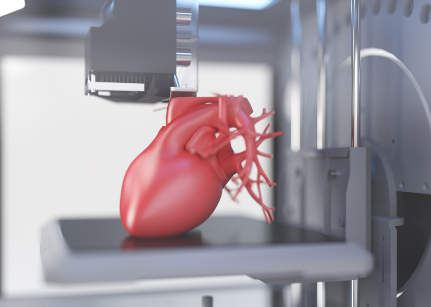 图片来源@视觉中国