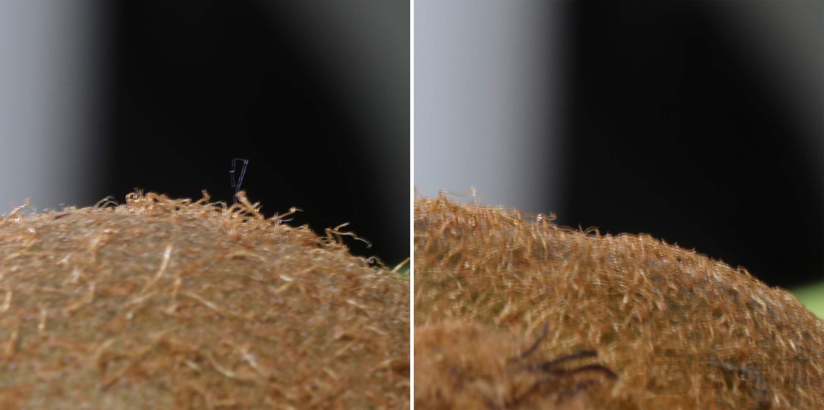 猕猴桃模拟测试