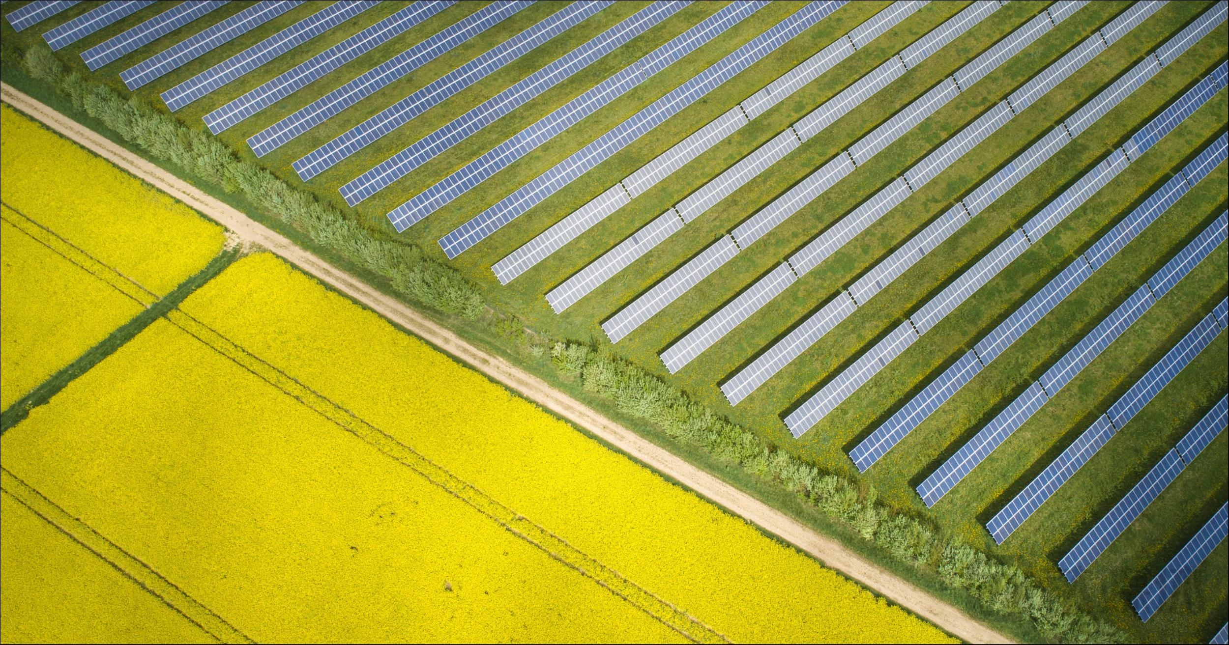 【农业一周动态】新希望拟9.26亿元出售11个在建猪场项目公司；云图控股完成定增募资19.96亿元；绿康生化股东拟6.61亿元转让公司36.73%股份