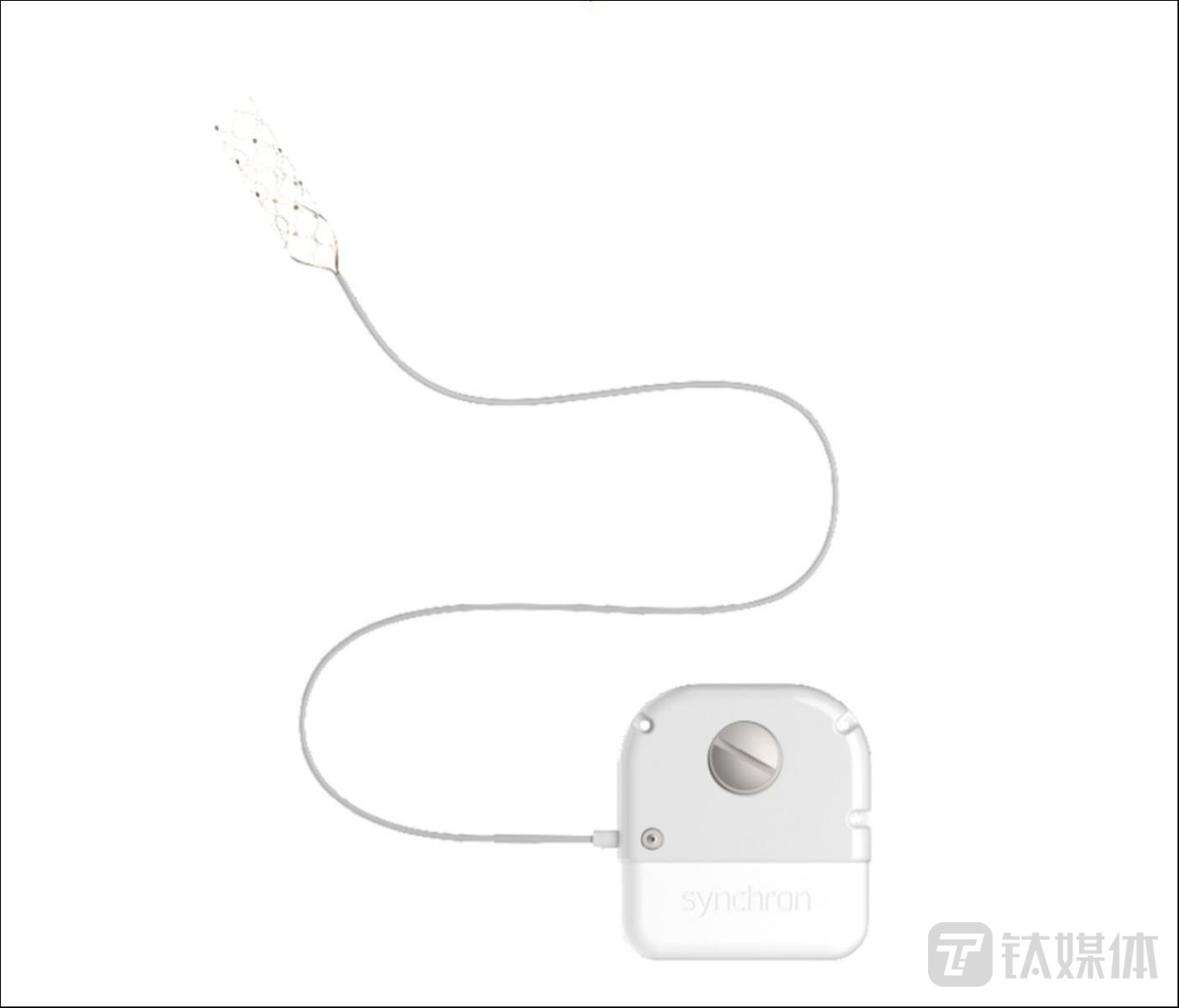 Stentrode血管内电极阵列以及随附的发射器