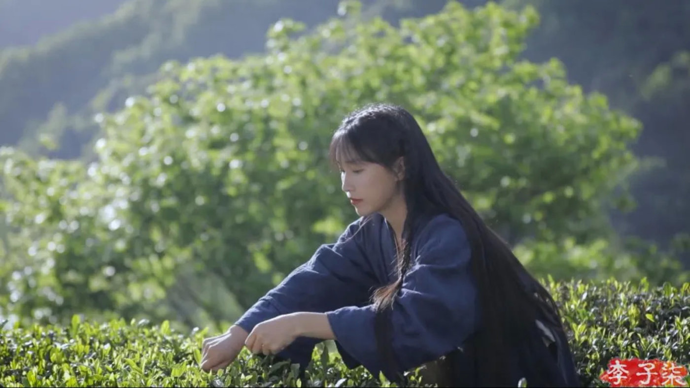 图片来源@视觉中国