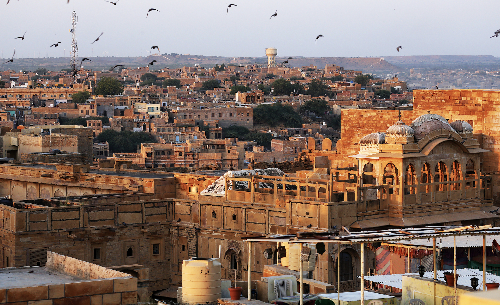 图片来源@视觉中国