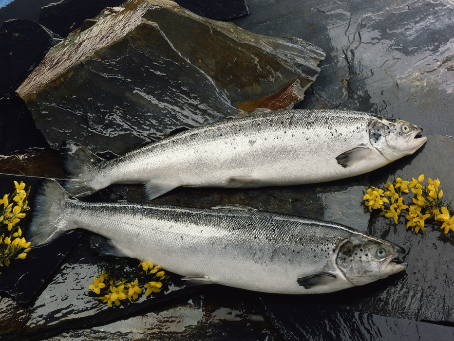 图片来源@视觉中国