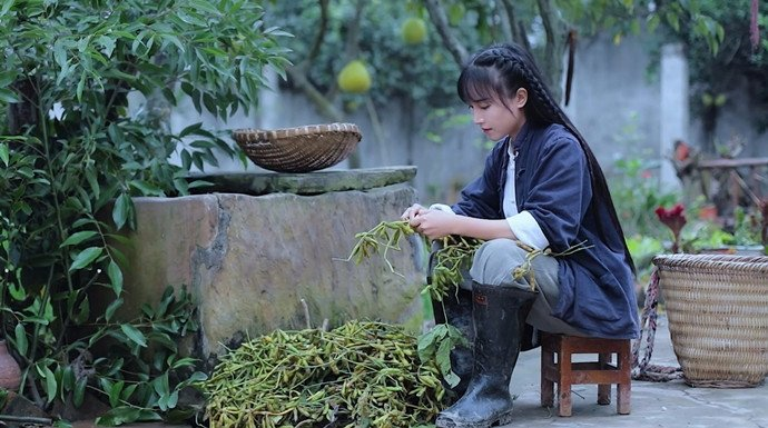 图片来源@视觉中国