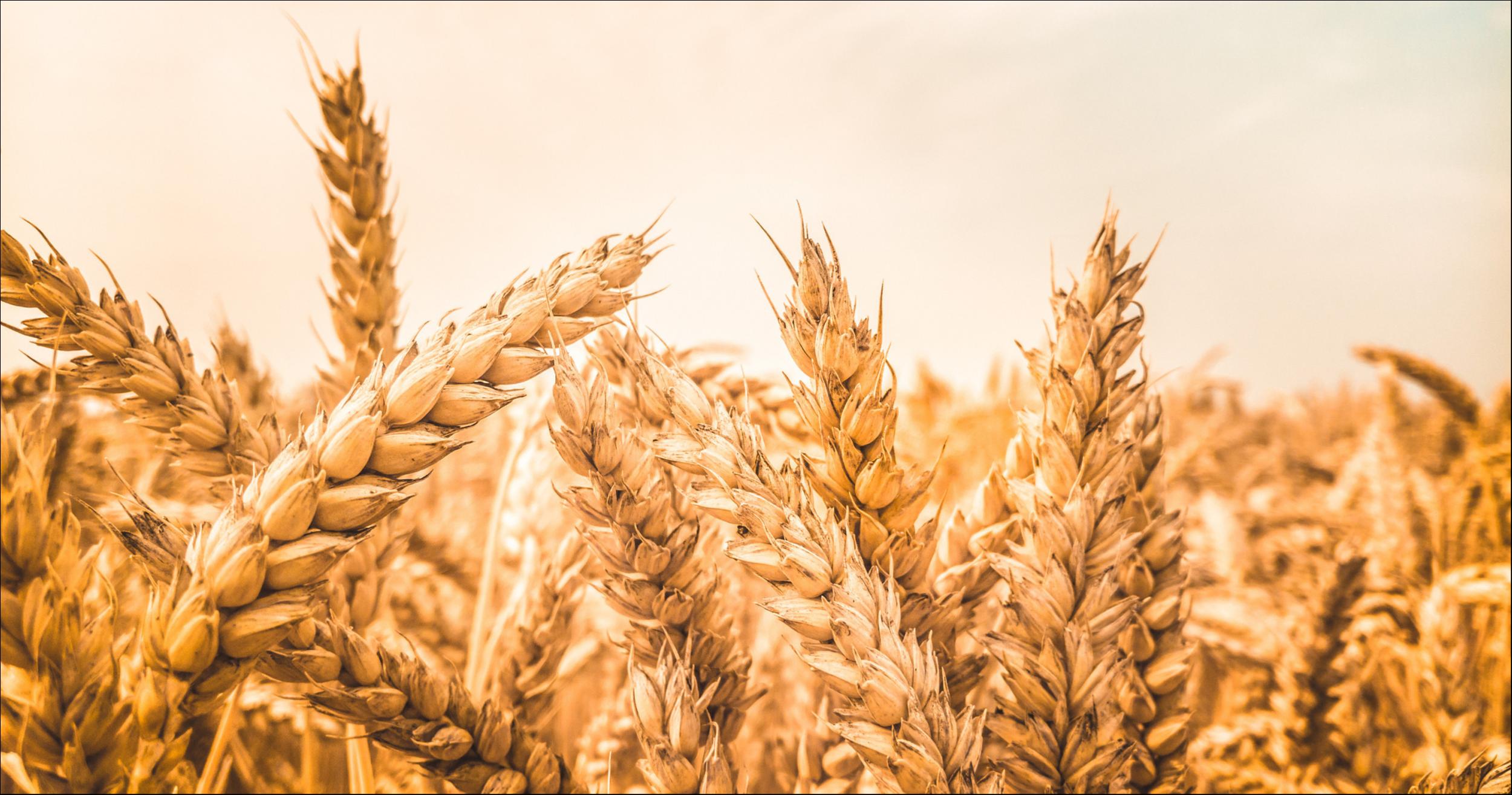 图片来源:视觉中国