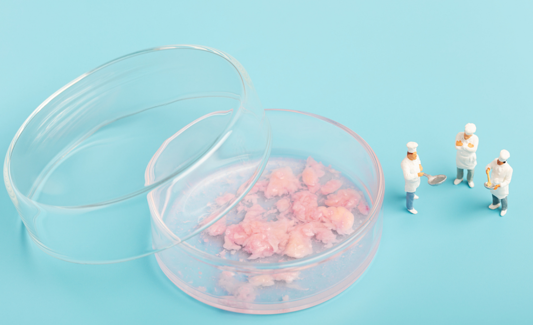 图片来源@视觉中国