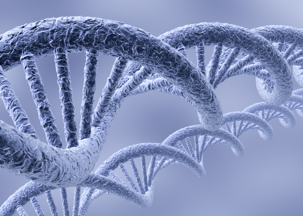 图片来源@视觉中国