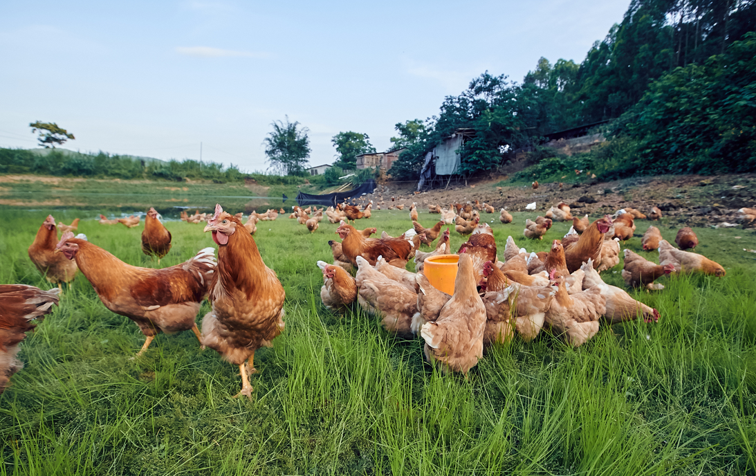图片来源@视觉中国