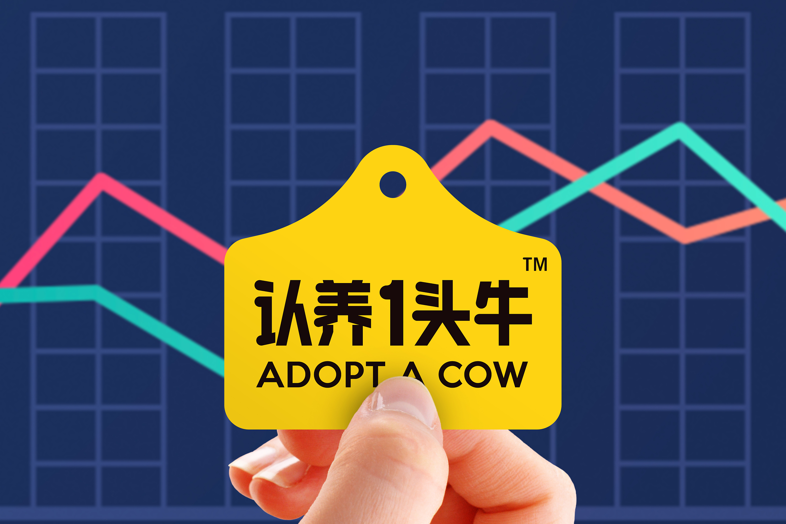 图片来源@视觉中国