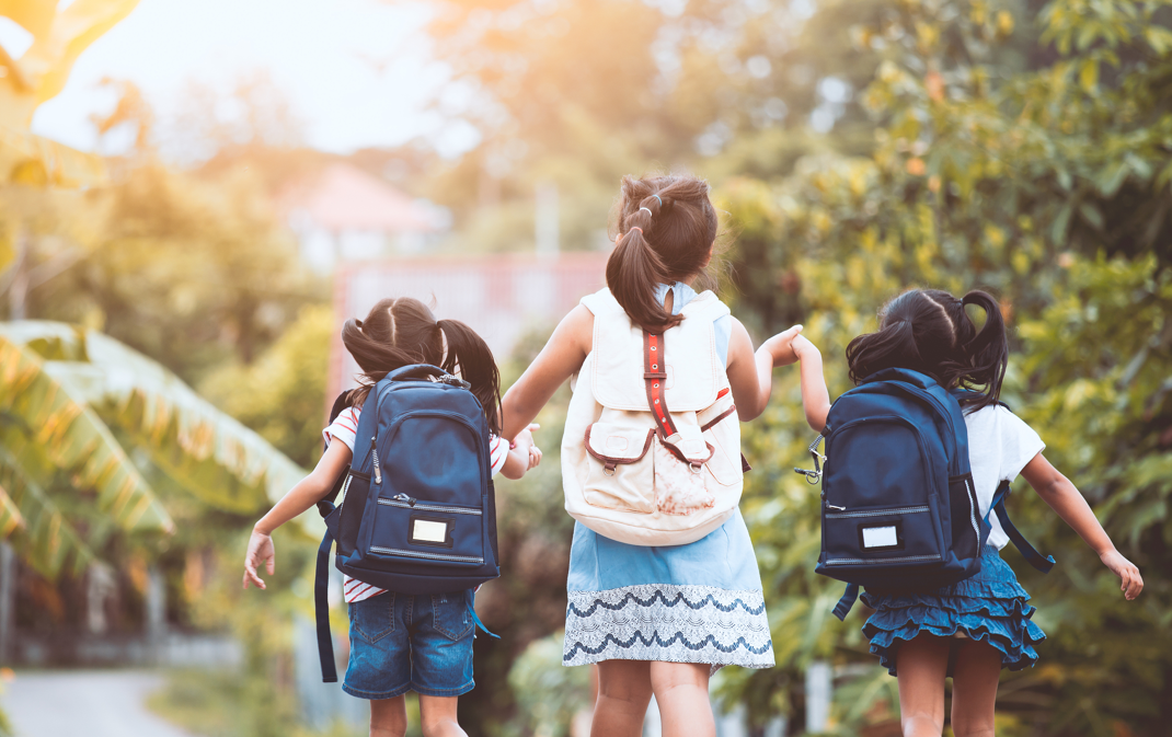 图片来源@视觉中国