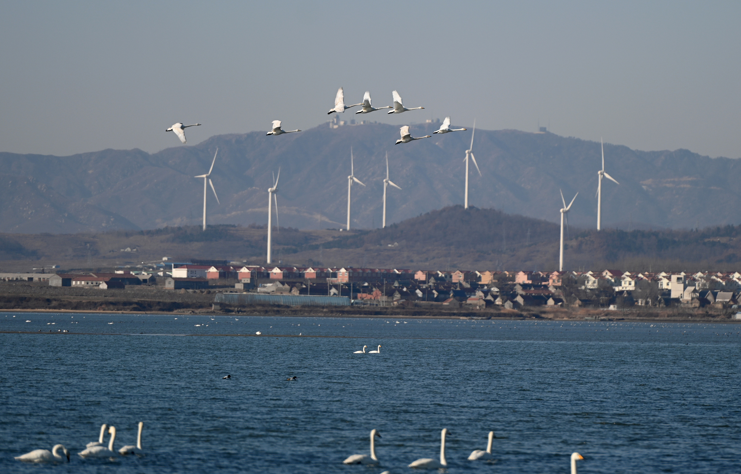 房企下沉困局威海样本：巨头扎堆，打折卖房收效甚微
