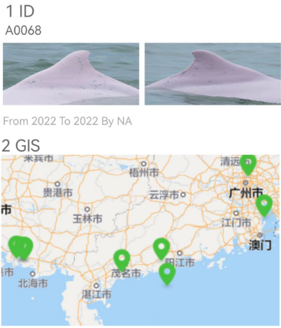 白海豚背鳍数据是识别个体的重要手段