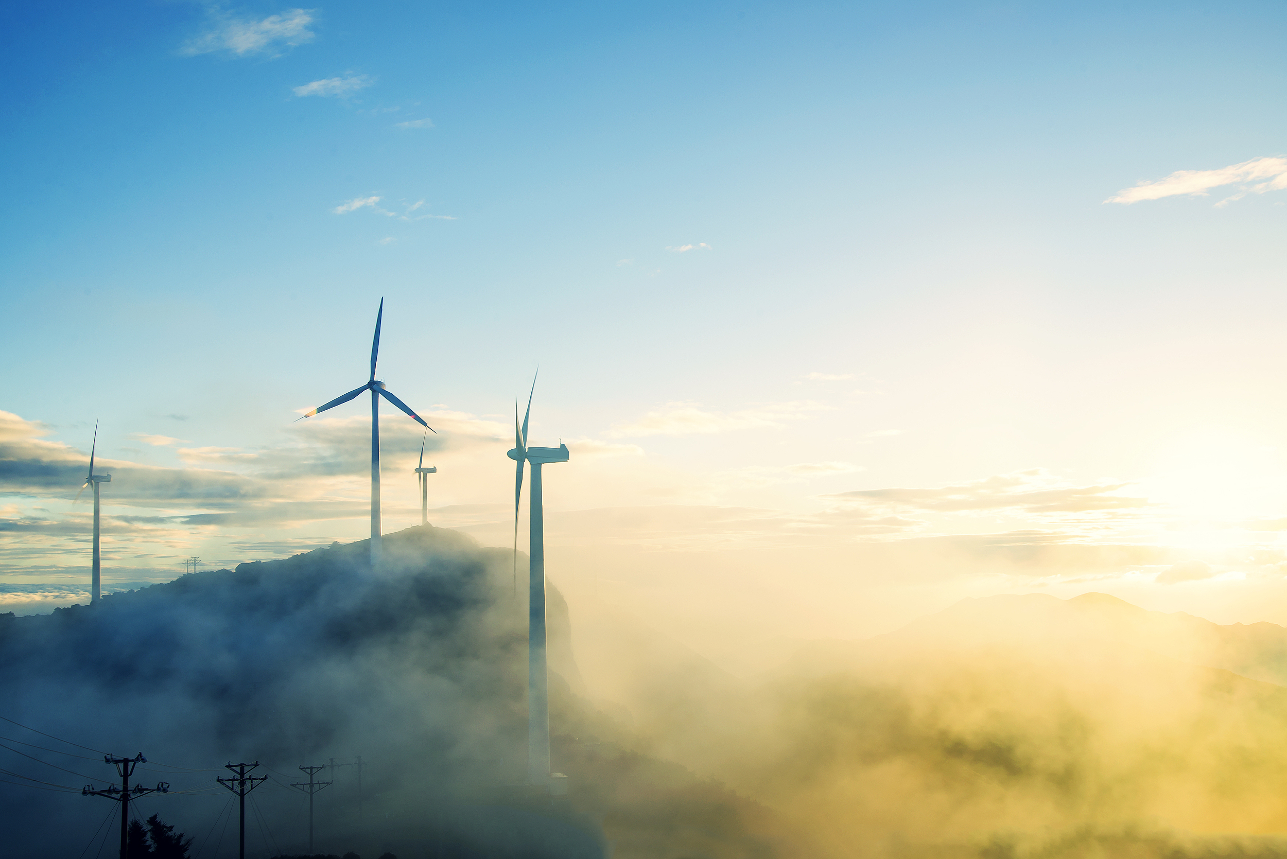 图片来源@视觉中国