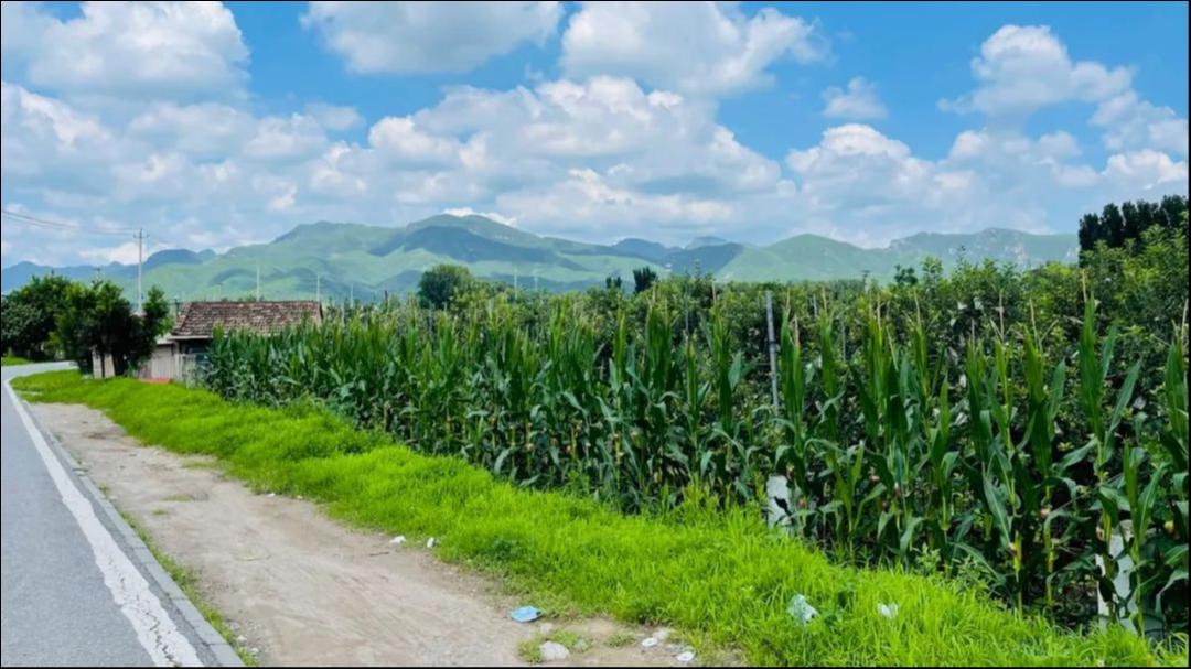 图片来源@作者提供