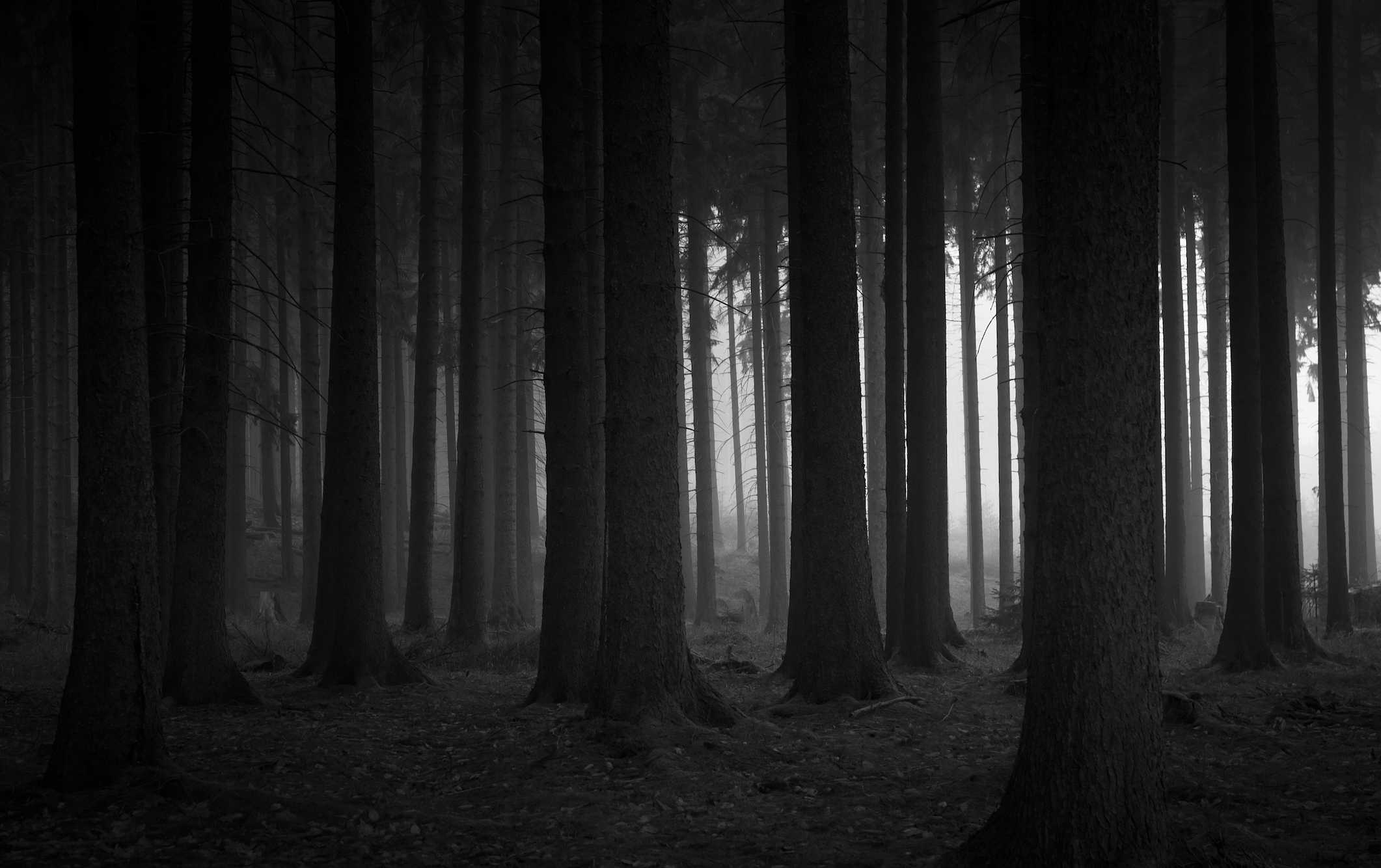 隐秘的角落：硬科技投资的新一层恐惧