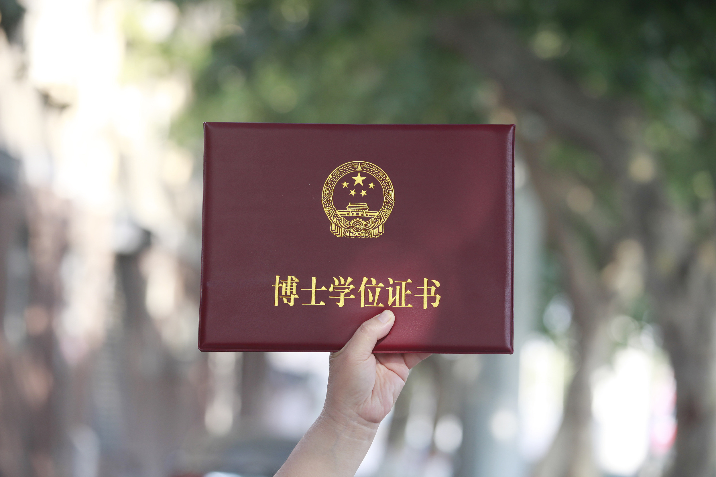 找不到工作的年轻人，去东南亚水博士