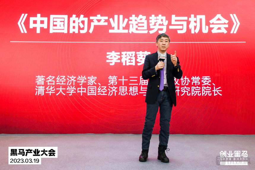 著名经济学家、清华大学中国经济思想与实践研究院院长李稻葵