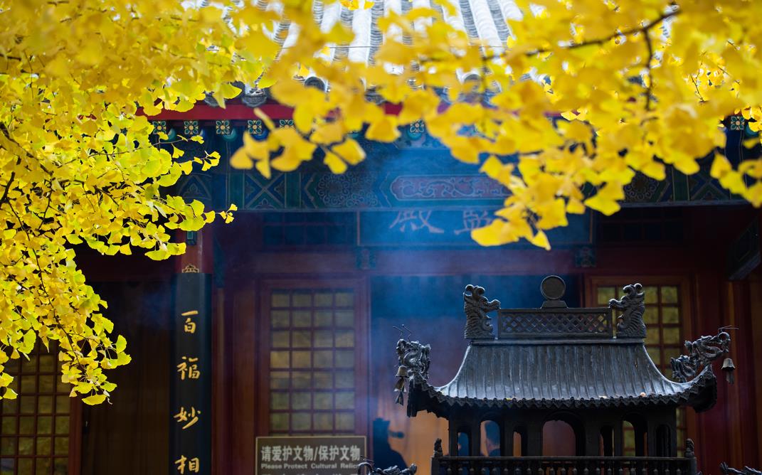 图片来源@视觉中国