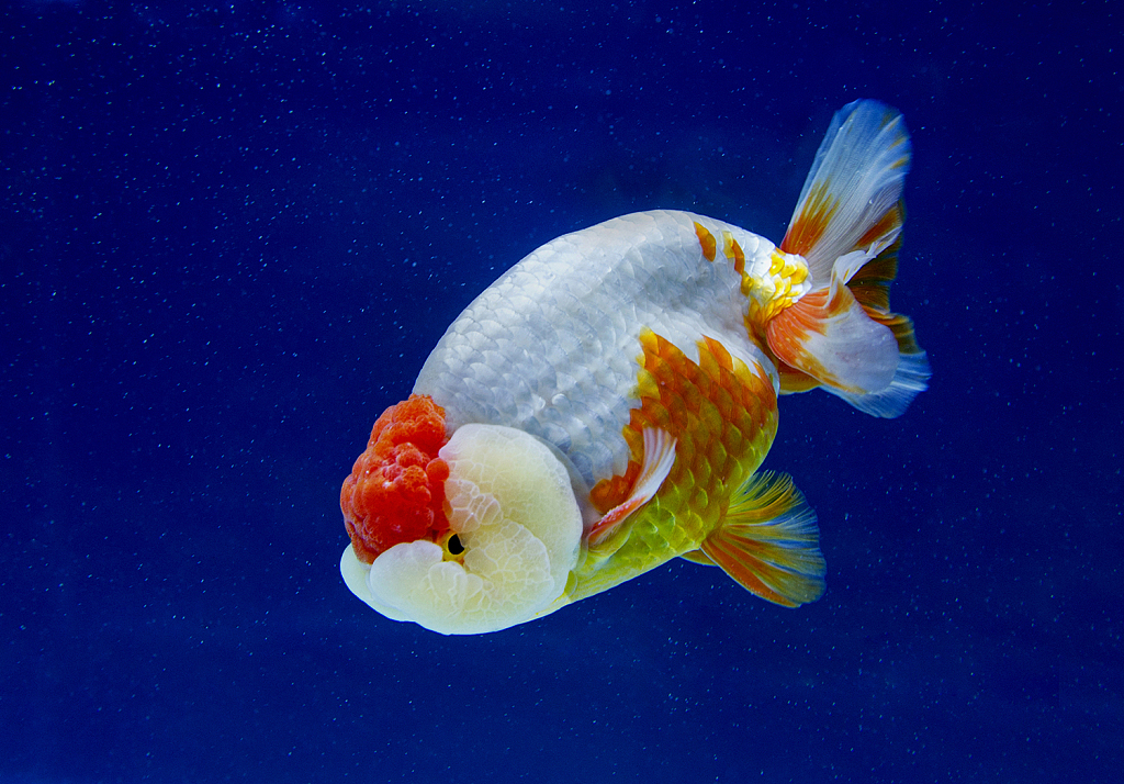 图片来源@视觉中国